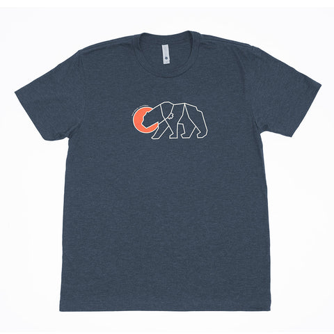 Camera Bear designed shirt